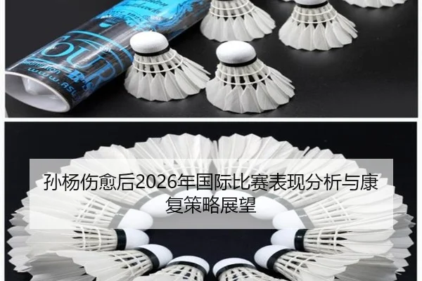 孙杨伤愈后2026年国际比赛表现分析与康复策略展望